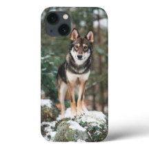 Wolfdog iPhone 13 Fodral