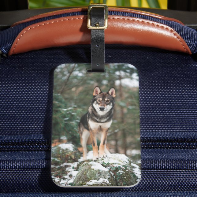 Wolfdog Luggage Tag Bagagebricka (Framsida Insitu 2)