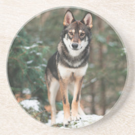 Wolfdog Underlägg
