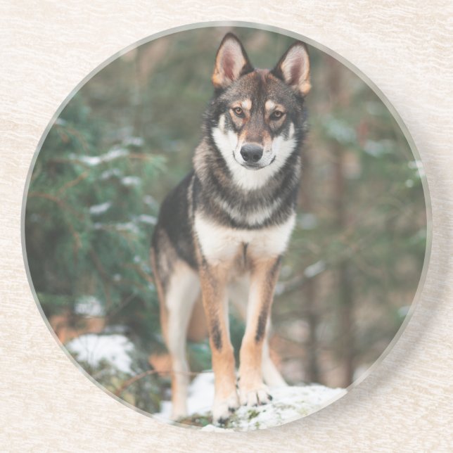 Wolfdog Underlägg (Framsidan)