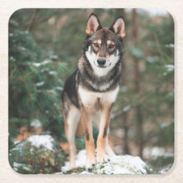 Wolfdog Underlägg Papper Kvadrat