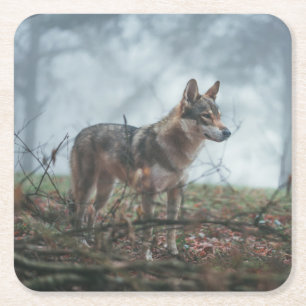Wolfdog Underlägg Papper Kvadrat
