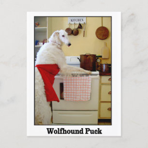 Wolfhound Puck Vykort