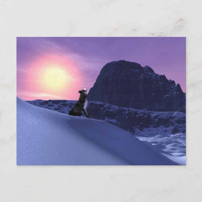 wolflåt vykort (Framsida)