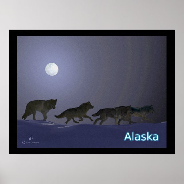 Wolfpack Poster (Framsidan)