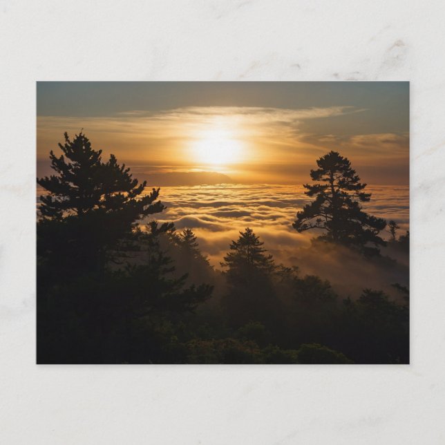 Wolkenmeer mit Sonnenuntergang Vykort (Framsida)