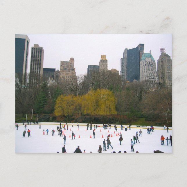 Wollman Rink NYC Skating Rink Central Park Photo Vykort (Framsida)