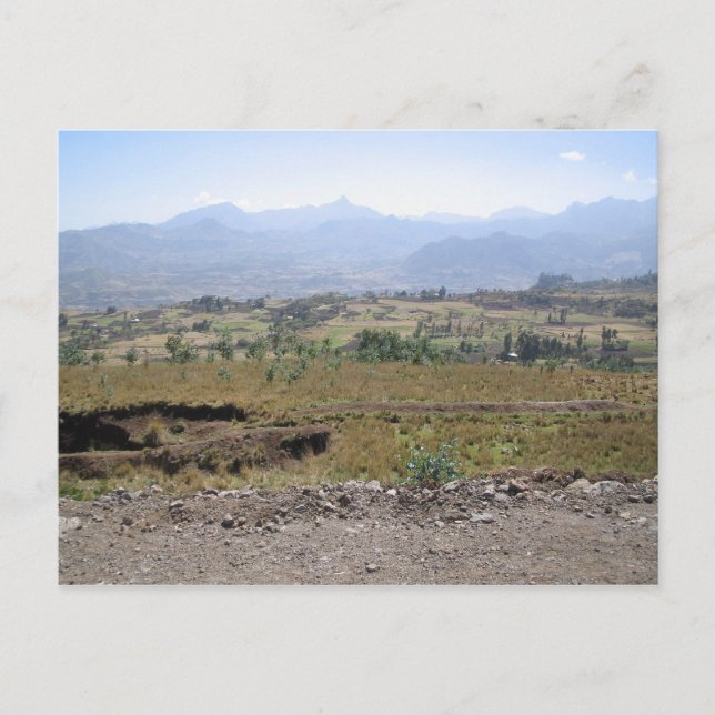 Wollo Vykort (Framsida)