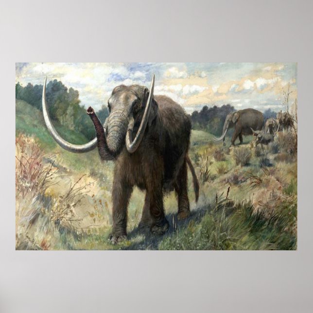 Wolly Mammoth Poster (Framsidan)