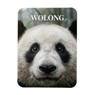 Wolong Nationalpark Kina Magnet
