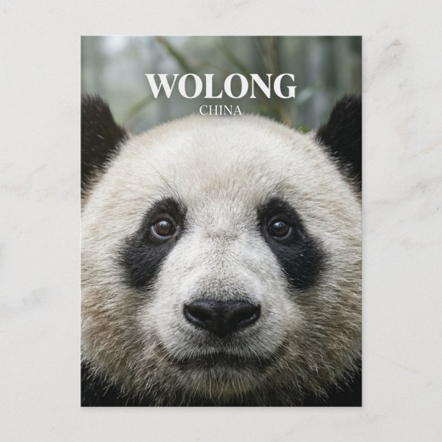 Wolong Nationalpark Kina Vykort (Framsida)