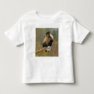 Wolong Panda Reservat, Kina, 2 1/2 år gammal T-shirt
