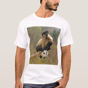 Wolong Panda Reserve, Kina, 2 1/2 år gammal Tee Shirt