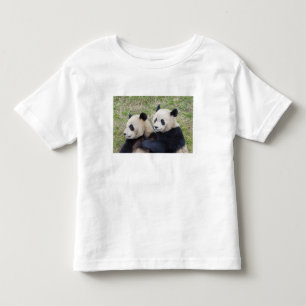 Wolongreservatet, Kina, Jättepanda som kramar Tee