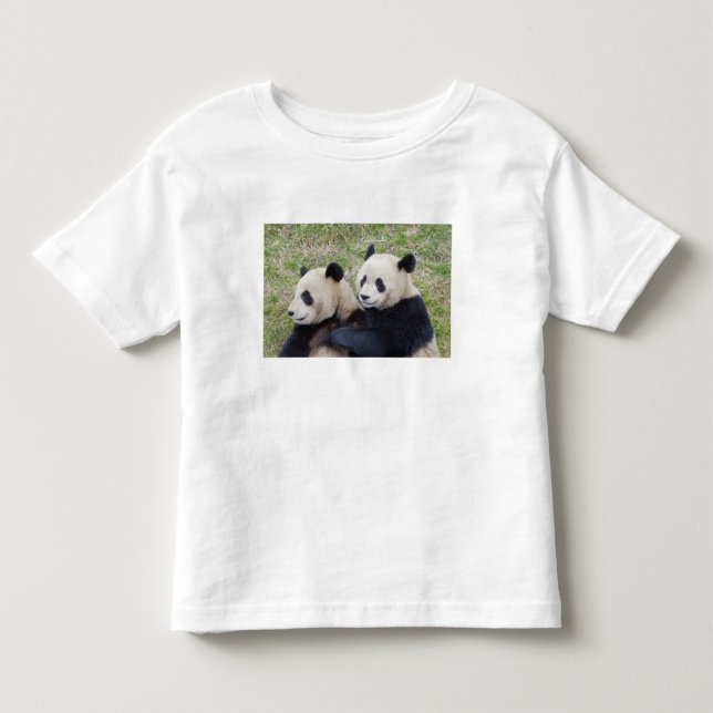 Wolongreservatet, Kina, Jättepanda som kramar Tee (Framsida)