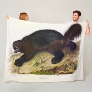 Wolverine eller Wolverene (Gulo gulo) från Audubon Fleecefilt