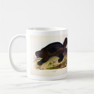 Wolverine eller Wolverene (Gulo gulo) från Audubon Kaffemugg
