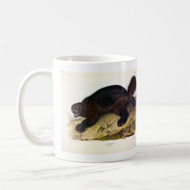 Wolverine eller Wolverene (Gulo gulo) från Audubon Kaffemugg (Vänster)
