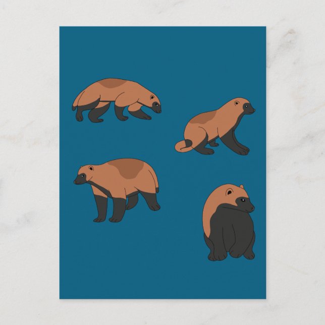 Wolverines Vykort (Framsida)