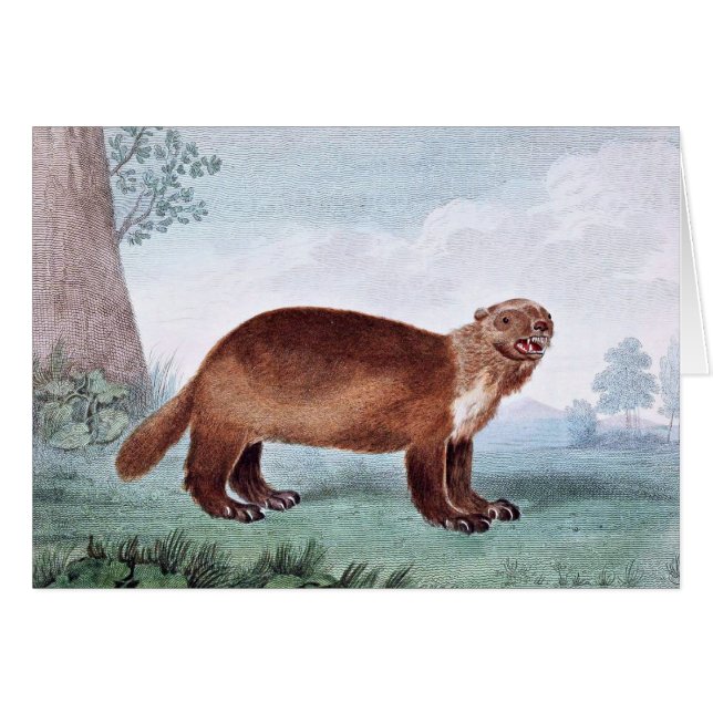 Wolverinevintagekonst Hälsningskort (Framsidan Horizontal)