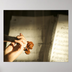 Woman Plut Violin Poster