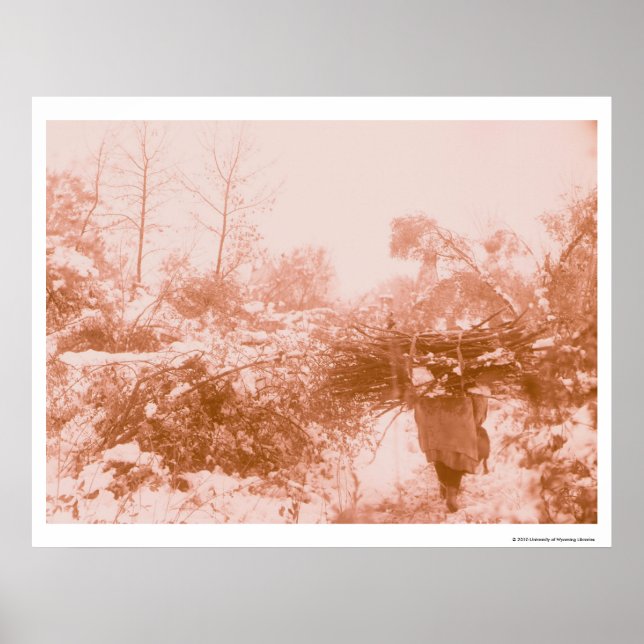 Woman Wood Gatherer Poster (Framsidan)