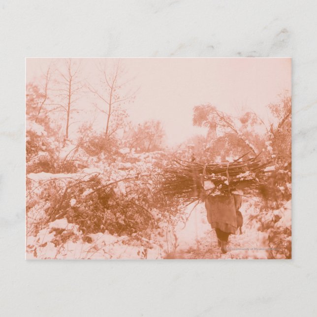 Woman Wood Gatherer Vykort (Framsida)