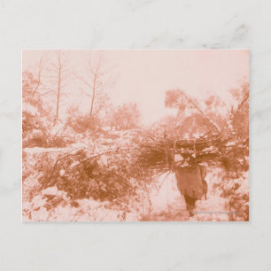 Woman Wood Gatherer Vykort