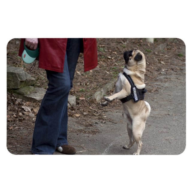 Womanizer Magnet (Horisontell)