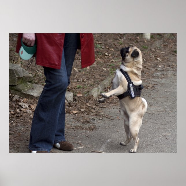 Womanizer Poster (Framsidan)