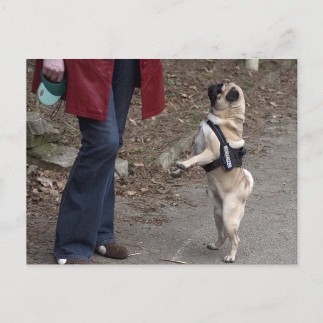 Womanizer Vykort (Framsida)