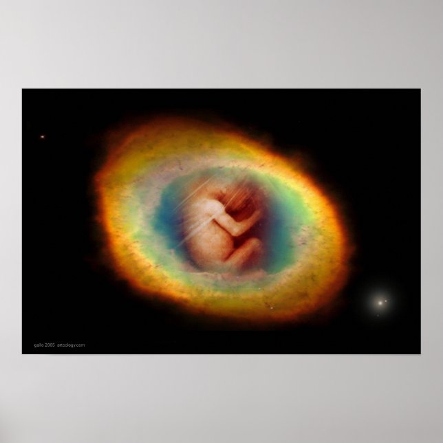 Womb av Gregory Gallo Poster (Framsidan)
