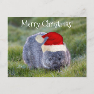 Wombat Australia Red Santa Hat God jul Vykort