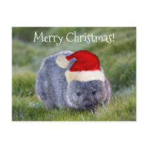 Wombat Australia Red Santa Hat God jul