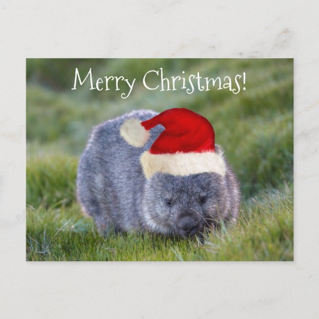 Wombat Australia Red Santa Hat God jul Vykort (Framsida)