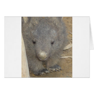 Wombat Hälsningskort