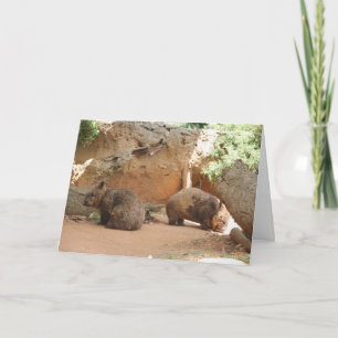 Wombat Heaven Kort
