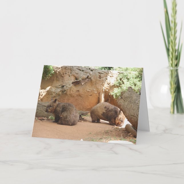 Wombat Heaven Kort (Framsida)