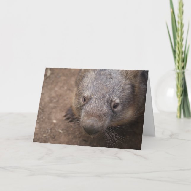 Wombat Kiss Kort (Framsida)
