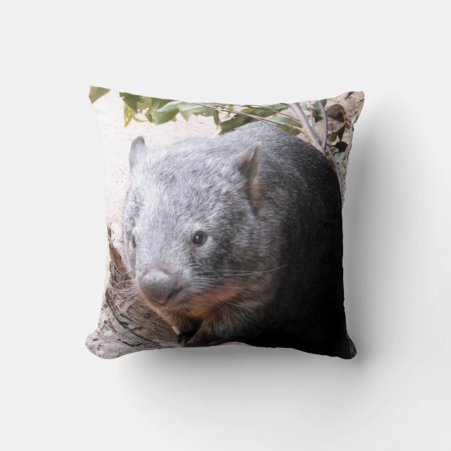 Wombat Kudde (Framsida)