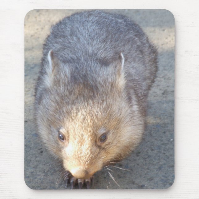 Wombat Mousepad Musmatta (Framsidan)