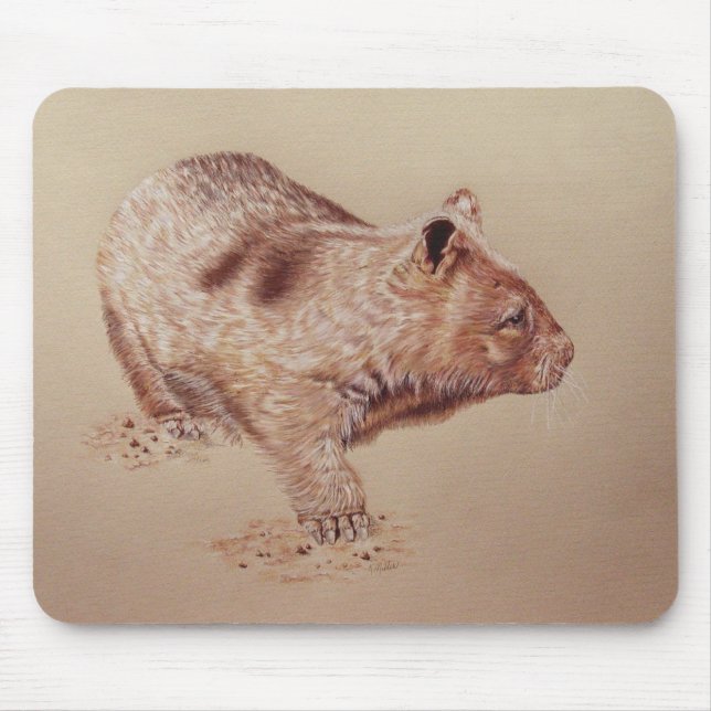 Wombat Musmatta (Framsidan)