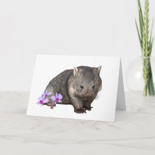 Wombat och Cooktown Orchid Kort