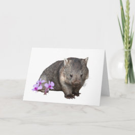 Wombat och Cooktown Orchid Kort