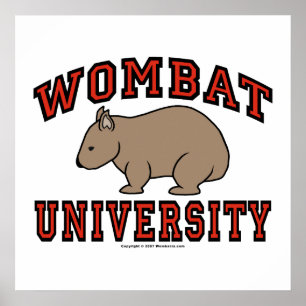 Wombat Universiteten Poster