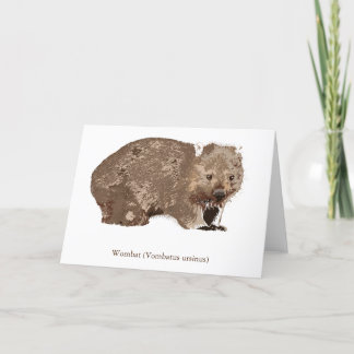 Wombatus ursinus helgkort