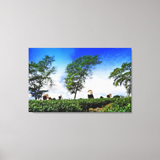 Women Harvesting Tea Canvastryck