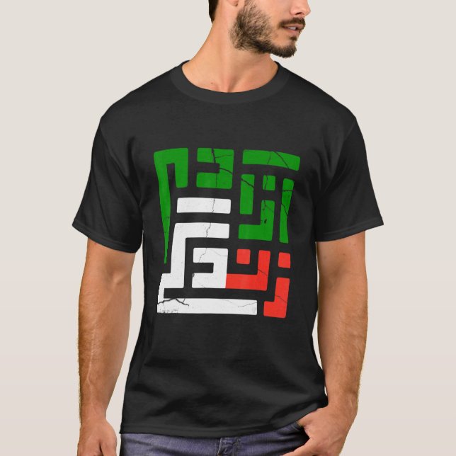 Women Life Freedom in Farsi Zan Zendegi Azadi T Shirt (Framsida)