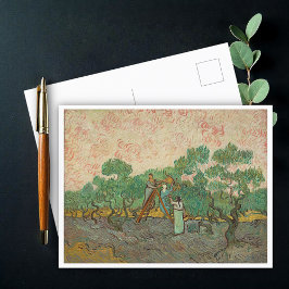 Women Picking Olife, Van Gogh Vykort