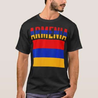 Womens Armenian Gift Armenia Land Flagga VNeck1  T Shirt